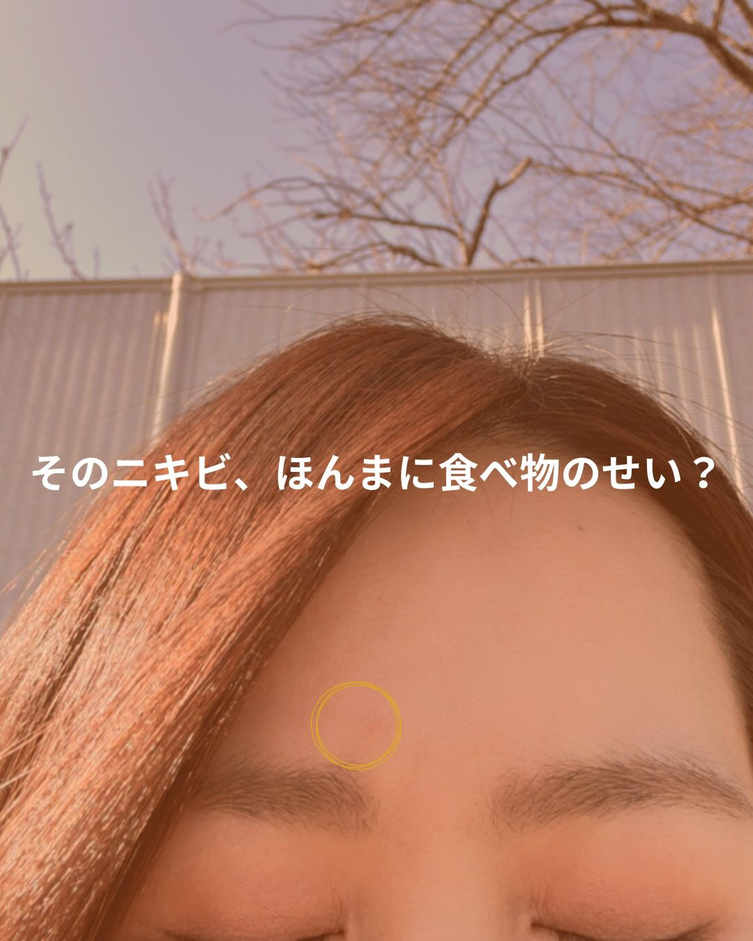 久しぶりにパンとパンに
