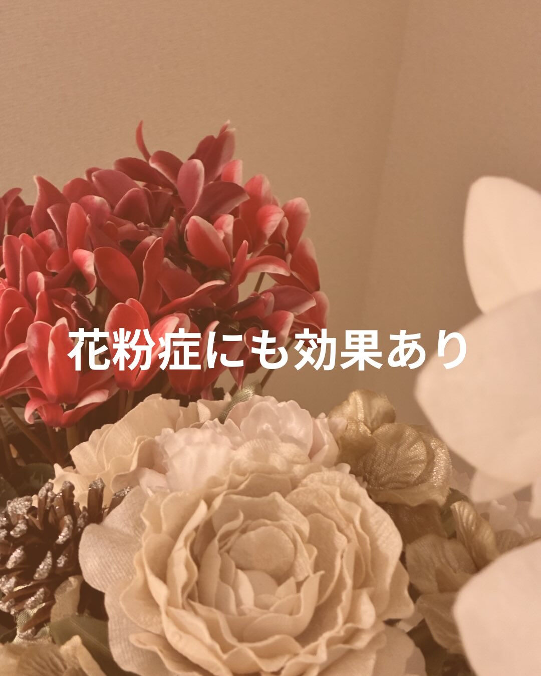 花粉の季節、つらいですよね🤧