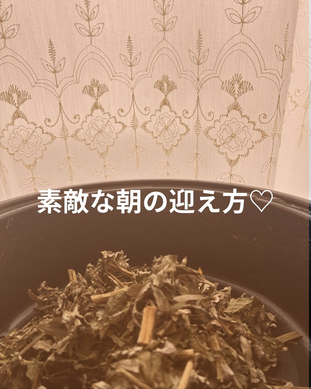 新入生も